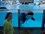 Teresa FINNALY went to Sea World