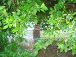 Florida vacation 2