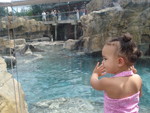 Marie's trip to Sea World, with her friend Mea